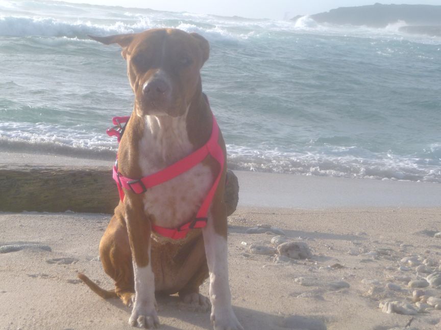 Shaima op Boca Grandi